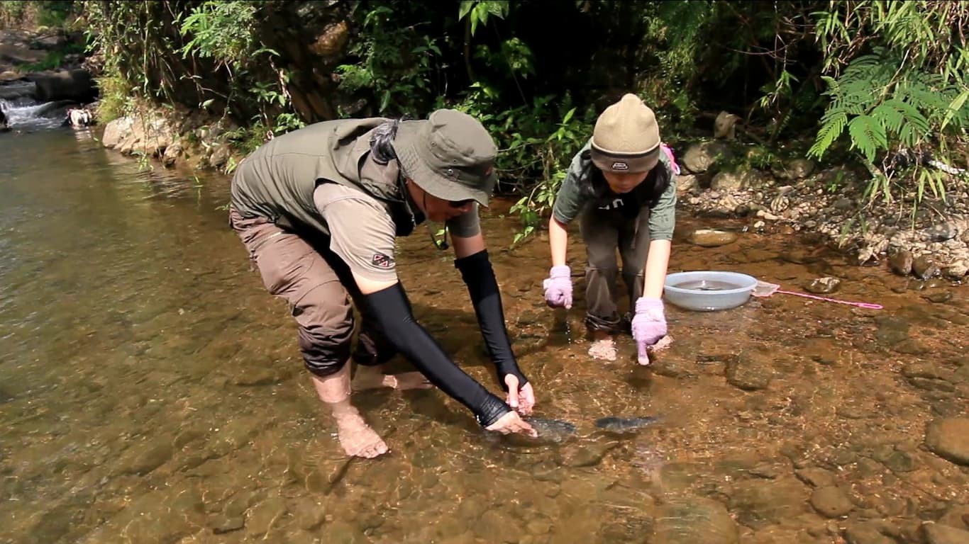 Menebar Ikan di Bendungan Warga